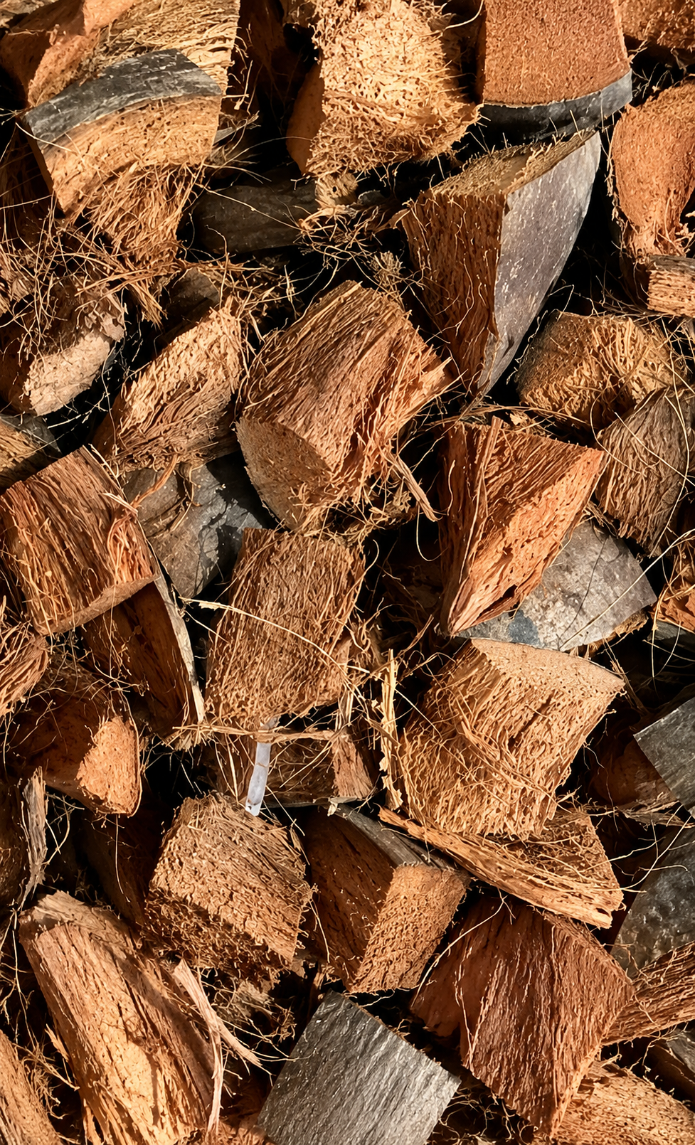 Coconut Husk/Scrap For Puja And Havan Coir Of Coconut
